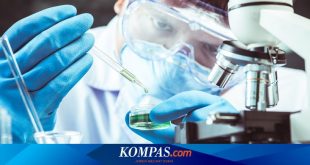 Kabar Baik Vaksin Corona: Percobaan Menghasilkan Antibodi Setara Orang yang Pulih – Kompas.com – KOMPAS.com