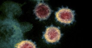 Ilmuwan Sebut Corona COVID-19 Menyebar Via Udara, Pedoman Virus WHO Dikaji Ulang – Liputan6.com