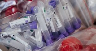 Apakah Vaksin H1N1 Mampu Sembuhkan Flu Babi G4 – Medcom ID