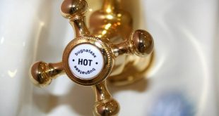 Bisakah air panas bunuh bakteri penyebab “pilek” organ intim? – ANTARA