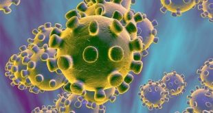 Virus Corona Ganas Ditemukan di Indonesia, Bermutasi dan Lebih Cepat Menular – Tribunnews.com