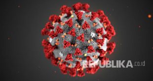 Studi: Virus Corona Bisa Replikasi Dirinya di Sel Otak – Republika Online